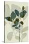 Green Leaves 7-Ian Winstanley-Stretched Canvas