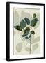 Green Leaves 7-Ian Winstanley-Framed Art Print