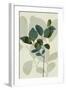 Green Leaves 7-Ian Winstanley-Framed Art Print