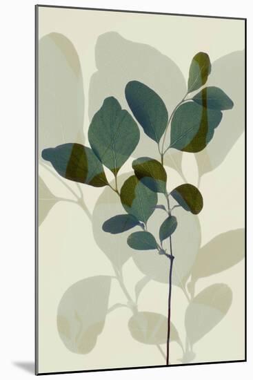 Green Leaves 7-Ian Winstanley-Mounted Art Print