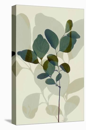 Green Leaves 7-Ian Winstanley-Stretched Canvas