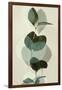 Green Leaves 8-Ian Winstanley-Framed Art Print