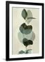 Green Leaves 8-Ian Winstanley-Framed Art Print