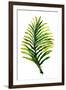 Green Leaves II-Elizabeth Medley-Framed Art Print