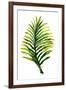 Green Leaves II-Elizabeth Medley-Framed Art Print