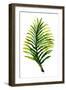 Green Leaves II-Elizabeth Medley-Framed Art Print