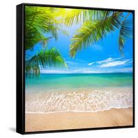 Green Leaves of Palm Tree and Tropical Beach-Aleksandr Ozerov-Framed Stretched Canvas