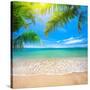 Green Leaves of Palm Tree and Tropical Beach-Aleksandr Ozerov-Stretched Canvas