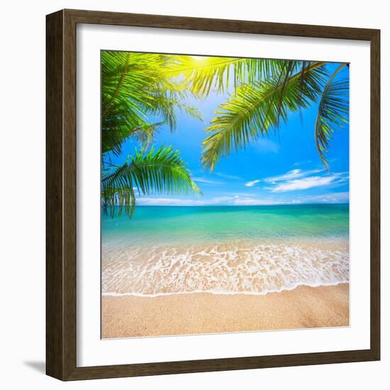 Green Leaves of Palm Tree and Tropical Beach-Aleksandr Ozerov-Framed Photographic Print