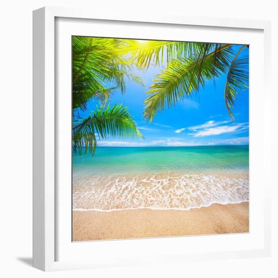 Green Leaves of Palm Tree and Tropical Beach-Aleksandr Ozerov-Framed Photographic Print