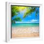 Green Leaves of Palm Tree and Tropical Beach-Aleksandr Ozerov-Framed Photographic Print