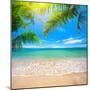 Green Leaves of Palm Tree and Tropical Beach-Aleksandr Ozerov-Mounted Photographic Print
