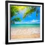 Green Leaves of Palm Tree and Tropical Beach-Aleksandr Ozerov-Framed Photographic Print