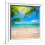 Green Leaves of Palm Tree and Tropical Beach-Aleksandr Ozerov-Framed Premium Photographic Print