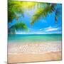 Green Leaves of Palm Tree and Tropical Beach-Aleksandr Ozerov-Mounted Premium Photographic Print