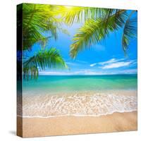 Green Leaves of Palm Tree and Tropical Beach-Aleksandr Ozerov-Stretched Canvas