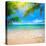 Green Leaves of Palm Tree and Tropical Beach-Aleksandr Ozerov-Stretched Canvas