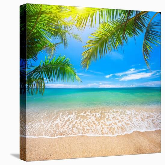 Green Leaves of Palm Tree and Tropical Beach-Aleksandr Ozerov-Stretched Canvas