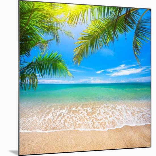 Green Leaves of Palm Tree and Tropical Beach-Aleksandr Ozerov-Mounted Photographic Print