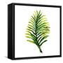 Green Leaves Square II-Elizabeth Medley-Framed Stretched Canvas