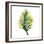Green Leaves Square II-Elizabeth Medley-Framed Art Print