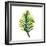 Green Leaves Square II-Elizabeth Medley-Framed Art Print