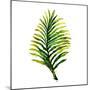 Green Leaves Square II-Elizabeth Medley-Mounted Art Print