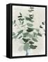 Green Leaves Vase II-Aria K-Framed Stretched Canvas