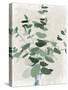 Green Leaves Vase II-Aria K-Stretched Canvas