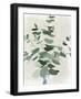 Green Leaves Vase II-Aria K-Framed Art Print