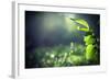 Green Leaves with Sun-Ruslan Ivantsov-Framed Photographic Print