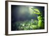 Green Leaves with Sun-Ruslan Ivantsov-Framed Photographic Print