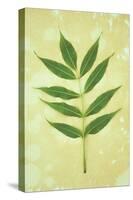 Green Leaves-Den Reader-Stretched Canvas