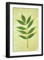 Green Leaves-Den Reader-Framed Photographic Print