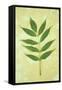 Green Leaves-Den Reader-Framed Stretched Canvas