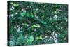 Green Liana-prajit48-Stretched Canvas