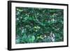 Green Liana-prajit48-Framed Photographic Print