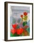 Green Life. Nature. Flowers. Red Tulips. Hand Drawn Landscape. Dark Sky. Rainy Day. Art. Summer Gar-Diana Lapshina-Framed Art Print