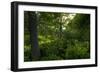 Green Light-Steve Gadomski-Framed Photographic Print