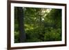 Green Light-Steve Gadomski-Framed Photographic Print