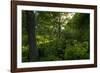 Green Light-Steve Gadomski-Framed Photographic Print