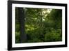 Green Light-Steve Gadomski-Framed Photographic Print