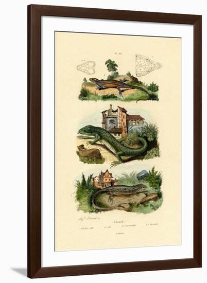 Green Lizard, 1833-39-null-Framed Giclee Print