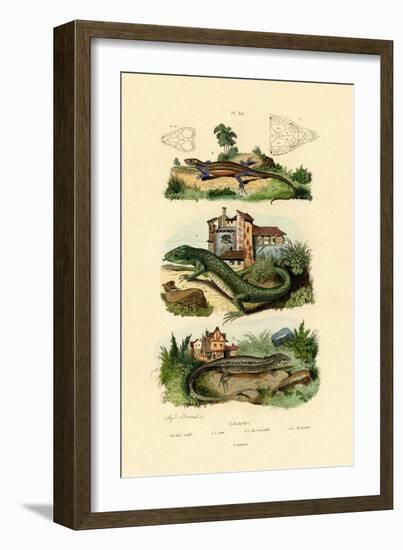 Green Lizard, 1833-39-null-Framed Giclee Print