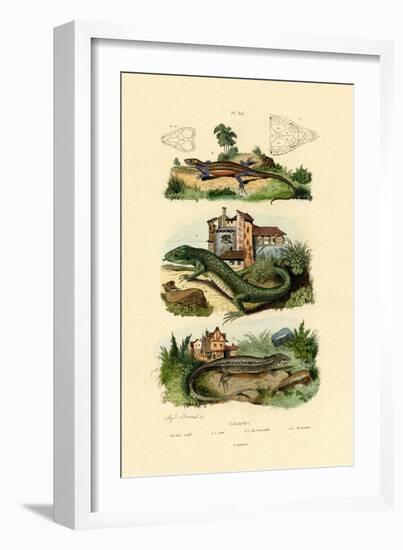 Green Lizard, 1833-39-null-Framed Giclee Print