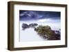 Green Loneliness-Nuno Araujo-Framed Photographic Print