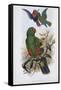 Green Lory-John Gould-Framed Stretched Canvas