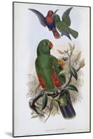 Green Lory-John Gould-Mounted Giclee Print