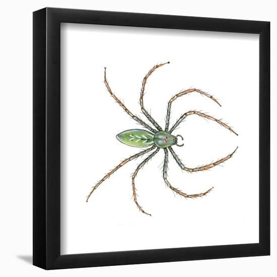 Green Lynx Spider (Peucetia Viridans), Arachnids-Encyclopaedia Britannica-Framed Poster