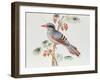 Green Magpie, Ch'Ien-Lung Period-null-Framed Giclee Print